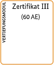 Grafik: Zertifikat 3 - Vertiefungsmodul inklusive Praxisaufenthalt