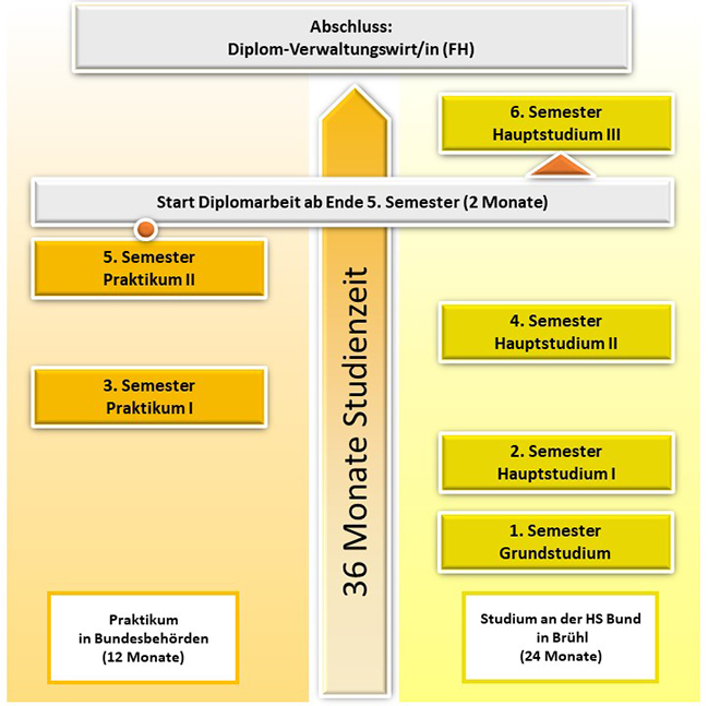 Grafik: Schematische Darstellung des Studienverlaufs